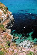 Headland near Newquay